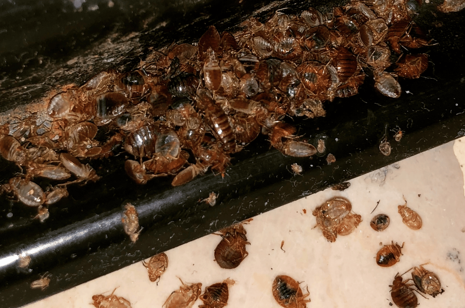 Contrôle après traitement